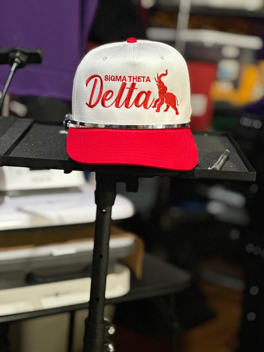 DST SnapBack